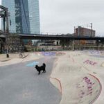 Frankfurt Skatepark Pumptrack Hafenpark 014