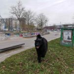 Frankfurt Skatepark Pumptrack Hafenpark 016