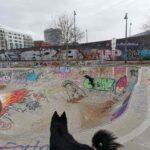 Frankfurt Skatepark Pumptrack Hafenpark 021