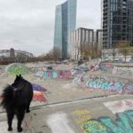 Frankfurt Skatepark Pumptrack Hafenpark 026