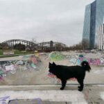 Frankfurt Skatepark Pumptrack Hafenpark 027