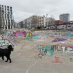 Frankfurt Skatepark Pumptrack Hafenpark 031