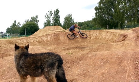 Callenberg | Dirtline bauen, Pumptrack, Flowtrail, Doublekicker