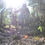 Warsteiner Bikepark Turbomatik Team 01