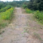 Streckenpflege Bikepark Singletrail 06