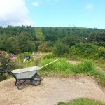 Streckenpflege Bikepark Singletrail 09
