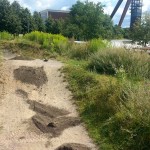 Streckenpflege Bikepark Singletrail 10