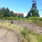 Streckenpflege Bikepark Singletrail 16