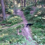 Bikepark Schwarzwald Freeride Turbomatik 10