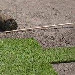 Asphalt Pumptrack Rollrasen