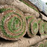 Bikepark Pumptrack Bauen Rollrasen