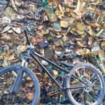 Asphalt Pumptrack Metabolon 11