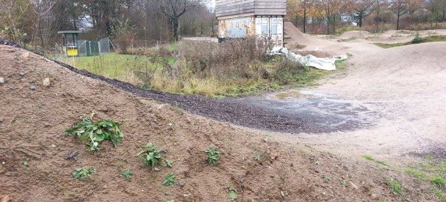 Roadtrip: Dirtpark Kassel / Pumptrack, Dirtjumps – Double & Table Line, Kids Pumptrack