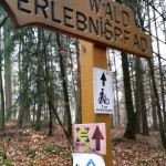 Flowtrail Bad Endbach 028