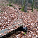 Flowtrail Bad Endbach 031