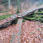 Flowtrail Bad Endbach 034