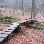 Flowtrail Bad Endbach 038