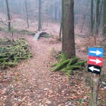 Flowtrail Bad Endbach 052