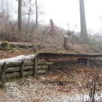 Flowtrail Bad Endbach 073