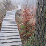 Flowtrail Bad Endbach 075