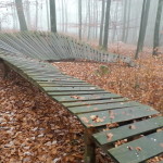 Flowtrail Bad Endbach 095
