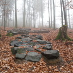 Flowtrail Bad Endbach 112