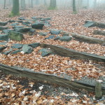 Flowtrail Bad Endbach 113