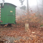 Flowtrail Bad Endbach 138
