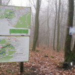 Flowtrail Bad Endbach 144