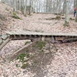 Bikepark Boppard 046