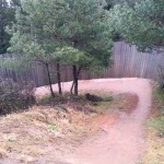 Bikepark Trippstadt 031