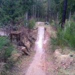 Bikepark Trippstadt 078