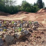 Bikepark Pumptrack Eschwege 05