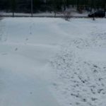 Pumptrack Selb Bayern Franken Bmx Asphalt 07
