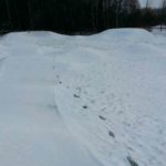Pumptrack Selb Bayern Franken Bmx Asphalt 08