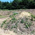 Bmx Park Radevormwald Dirtpark Bikepark Pumptrack Mtb 06