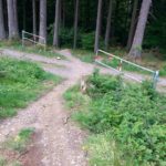 Fahlenscheid Bikepark Downhill Olpe 22