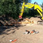 Bikepark Altes Land Hollern Twielenfleth Elbe Pumptrack Hamburg 61
