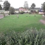 Schweine Weidehaltung Hausschwein Suhle 2