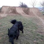 Schanzenfeld Hungen Dirtpark Hessen Mtb Schanze 13