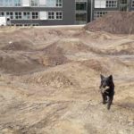 Dirtpark Gymnasium Neuenkirchen Pumptrack Schule Mountainbike Ag 18
