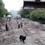 Pumptrack Bauen Planung Dirtpark Guentersleben Wuerzburg 23