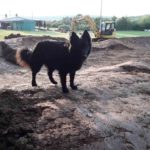Pumptrack Hofbieber Fulda Planung Bauen Flowtrail Enduropark EMtb 48