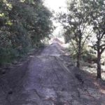 Eifel Trails Pumptrack Flowtrail Pronsfeld 23