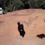 Eifel Trails Pumptrack Flowtrail Pronsfeld 31