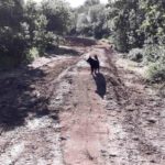 Eifel Trails Pumptrack Flowtrail Pronsfeld 40