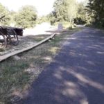 Eifel Trails Pumptrack Flowtrail Pronsfeld 50