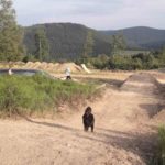 Mtb Sprung Bauen 05