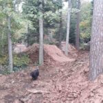 Schwarzwald Bikepark Engelsbrand Pumptrack Flowtrail Dirtpark MTB Trails 06