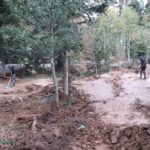 Schwarzwald Bikepark Engelsbrand Pumptrack Flowtrail Dirtpark MTB Trails 28